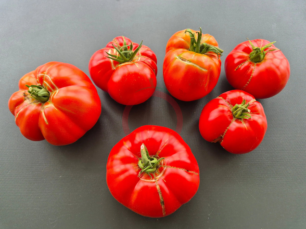 Yuri Gagarin DER TOMATENFLÜSTERER