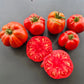 Yuri Gagarin DER TOMATENFLÜSTERER