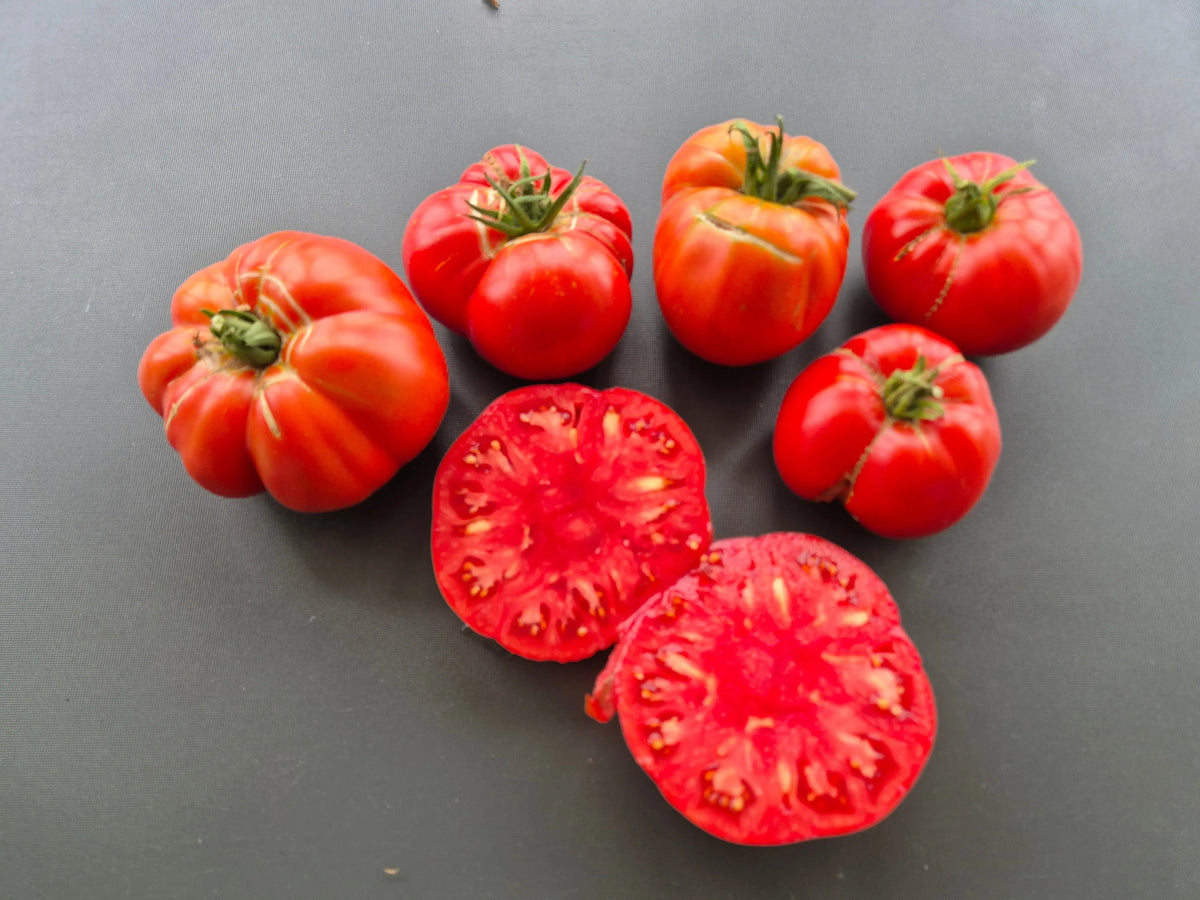 Yuri Gagarin DER TOMATENFLÜSTERER