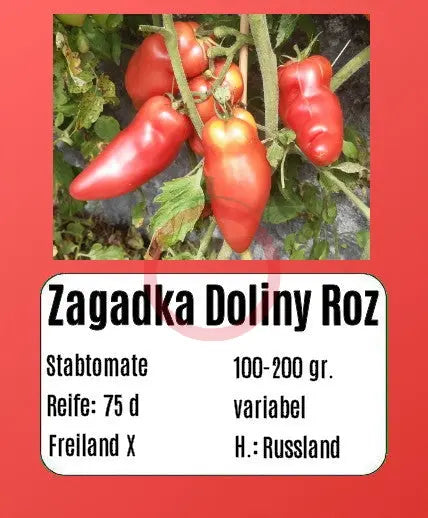 Zagadka Doliny Roz DER TOMATENFLÜSTERER
