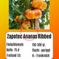 Zapotec Ananas Ribbed DER TOMATENFLÜSTERER