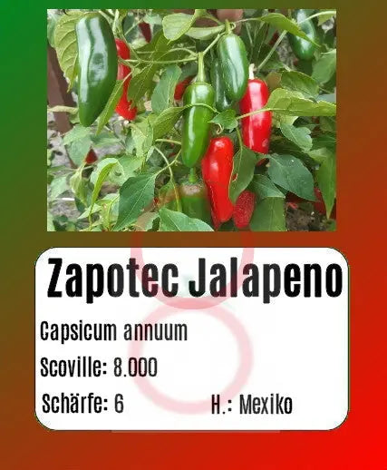 Zapotec Jalapeno DER TOMATENFLÜSTERER