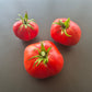 Zaragozano Gordo DER TOMATENFLÜSTERER