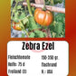 Zebra Ezel DER TOMATENFLÜSTERER