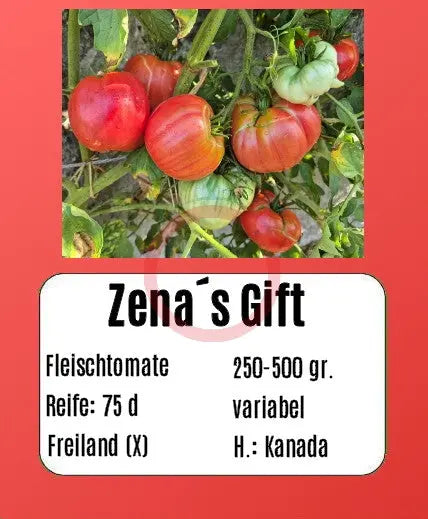 Zenas Gift DER TOMATENFLÜSTERER