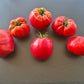 Zenas Gift DER TOMATENFLÜSTERER