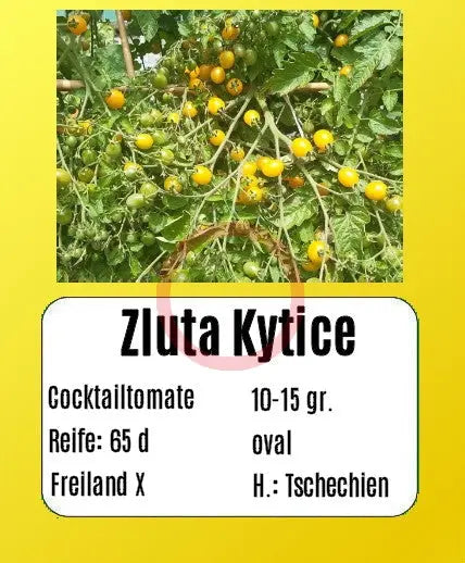 Zluta Kytice DER TOMATENFLÜSTERER