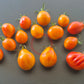 Zolotaya Chalma DER TOMATENFLÜSTERER