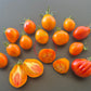 Zolotaya Chalma DER TOMATENFLÜSTERER