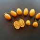 Zolotoy Potok DER TOMATENFLÜSTERER