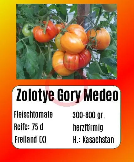 Zolotye Gory Medeo DER TOMATENFLÜSTERER