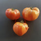 Zolotye Gory Medeo DER TOMATENFLÜSTERER