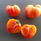 Zolotye Gory Medeo DER TOMATENFLÜSTERER