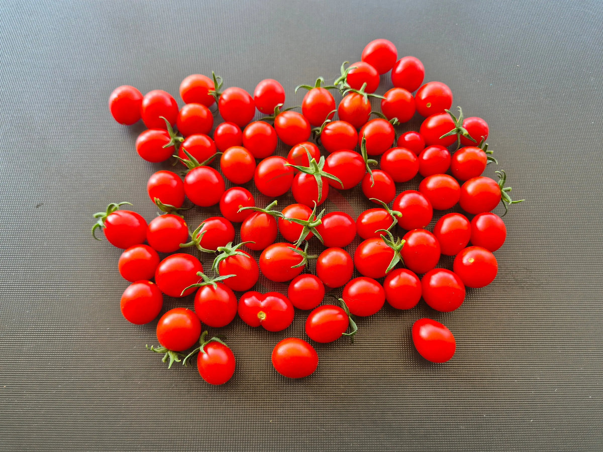 Zuckerino Lukas DER TOMATENFLÜSTERER