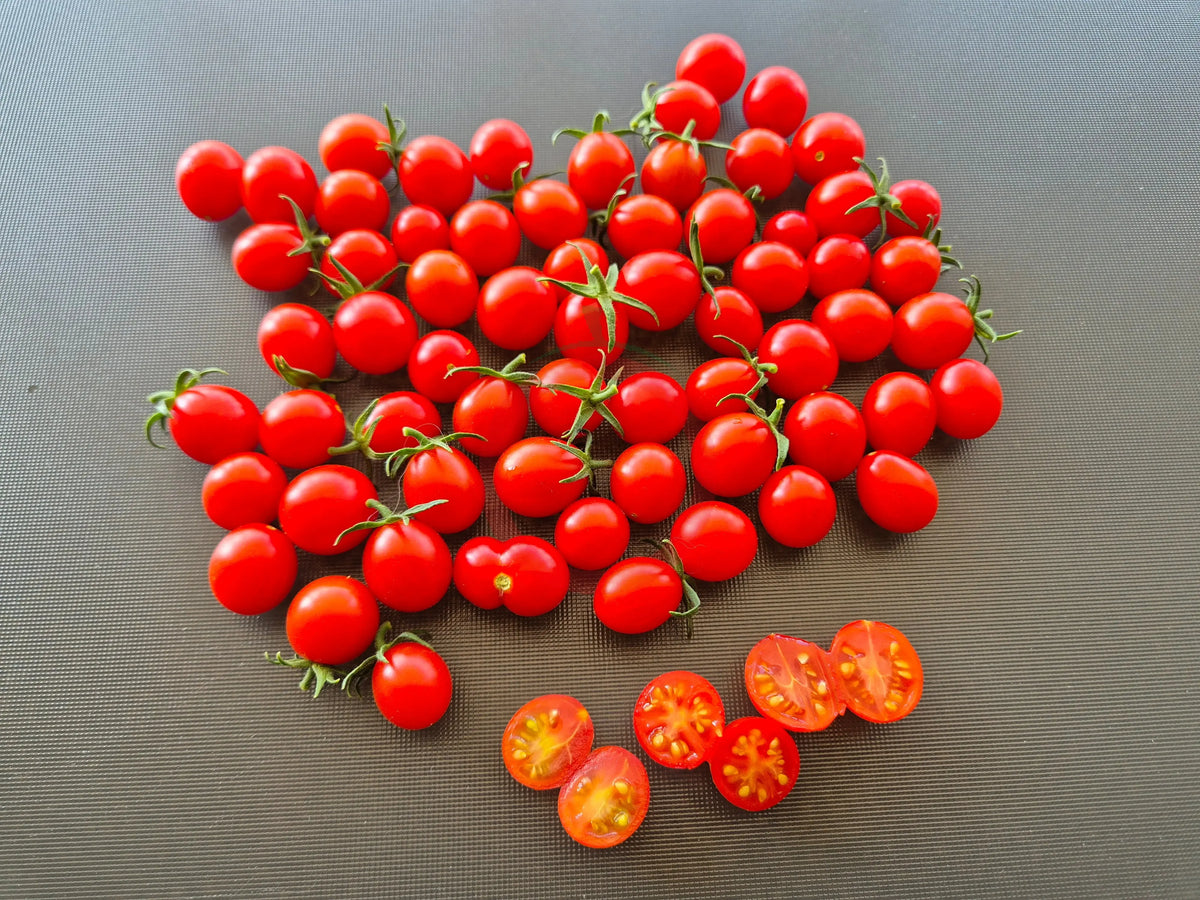 Zuckerino Lukas DER TOMATENFLÜSTERER