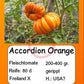 Accordion Orange DER TOMATENFLÜSTERER
