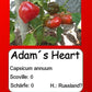 Adam´s Heart DER TOMATENFLÜSTERER