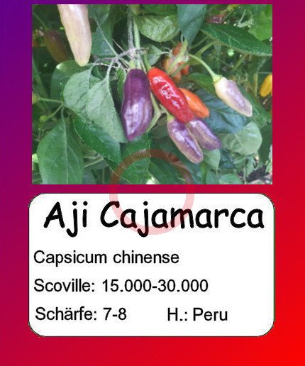 Aji Cajamarca DER TOMATENFLÜSTERER