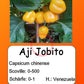 Aji Jobito DER TOMATENFLÜSTERER