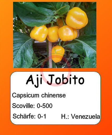 Aji Jobito DER TOMATENFLÜSTERER