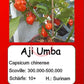 Aji Umba DER TOMATENFLÜSTERER