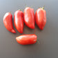 Alter Kommunist DER TOMATENFLÜSTERER