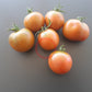 Amarillo Armadillo DER TOMATENFLÜSTERER