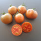 Amarillo Armadillo DER TOMATENFLÜSTERER