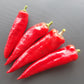 Anaheim DER TOMATENFLÜSTERER