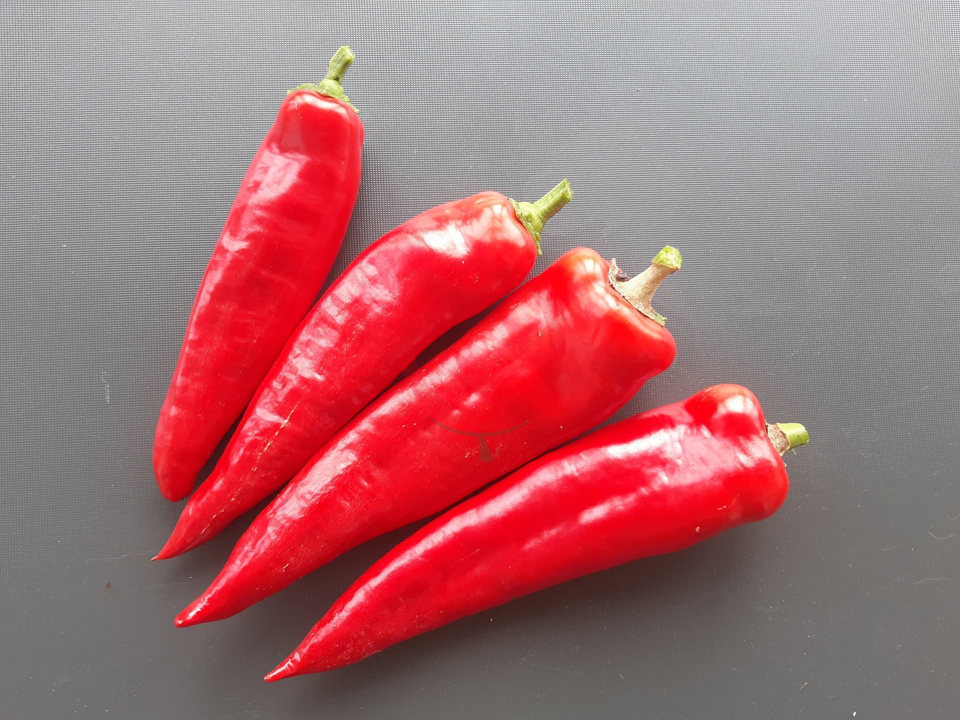 Anaheim DER TOMATENFLÜSTERER