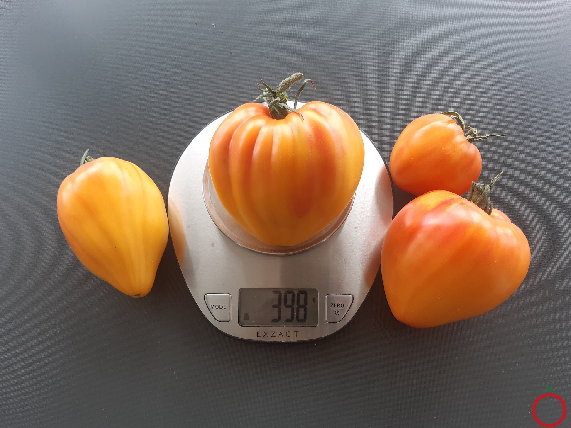 Ananas Heart DER TOMATENFLÜSTERER