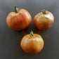 Ananasnoe Serdze DER TOMATENFLÜSTERER