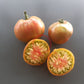Ananasnoe Serdze DER TOMATENFLÜSTERER