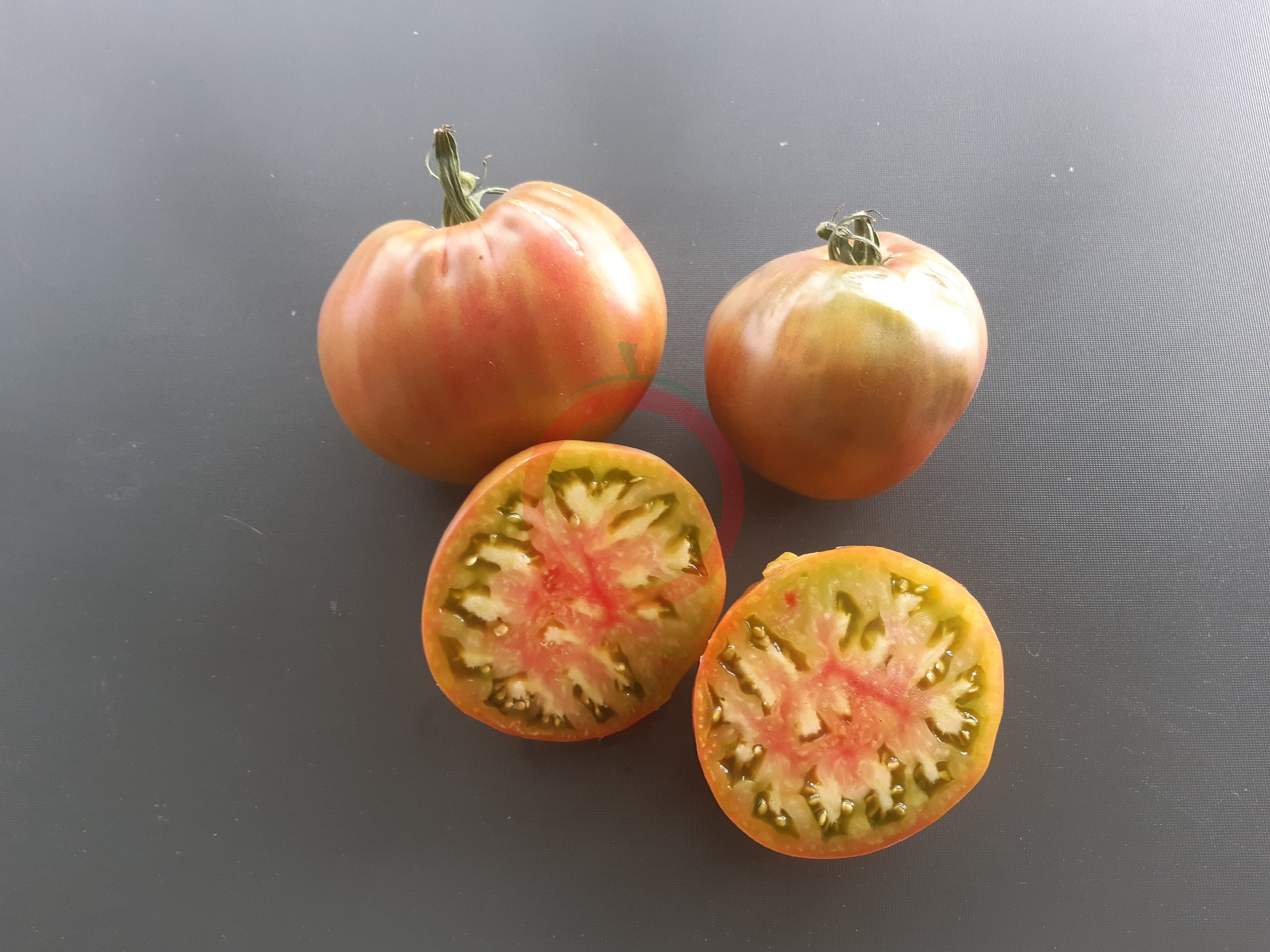 Ananasnoe Serdze DER TOMATENFLÜSTERER