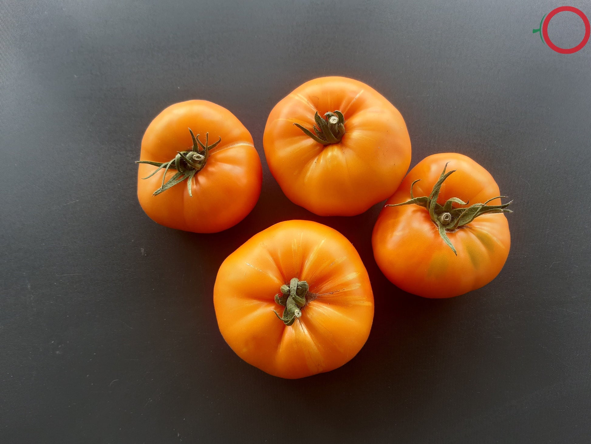Anawine DER TOMATENFLÜSTERER