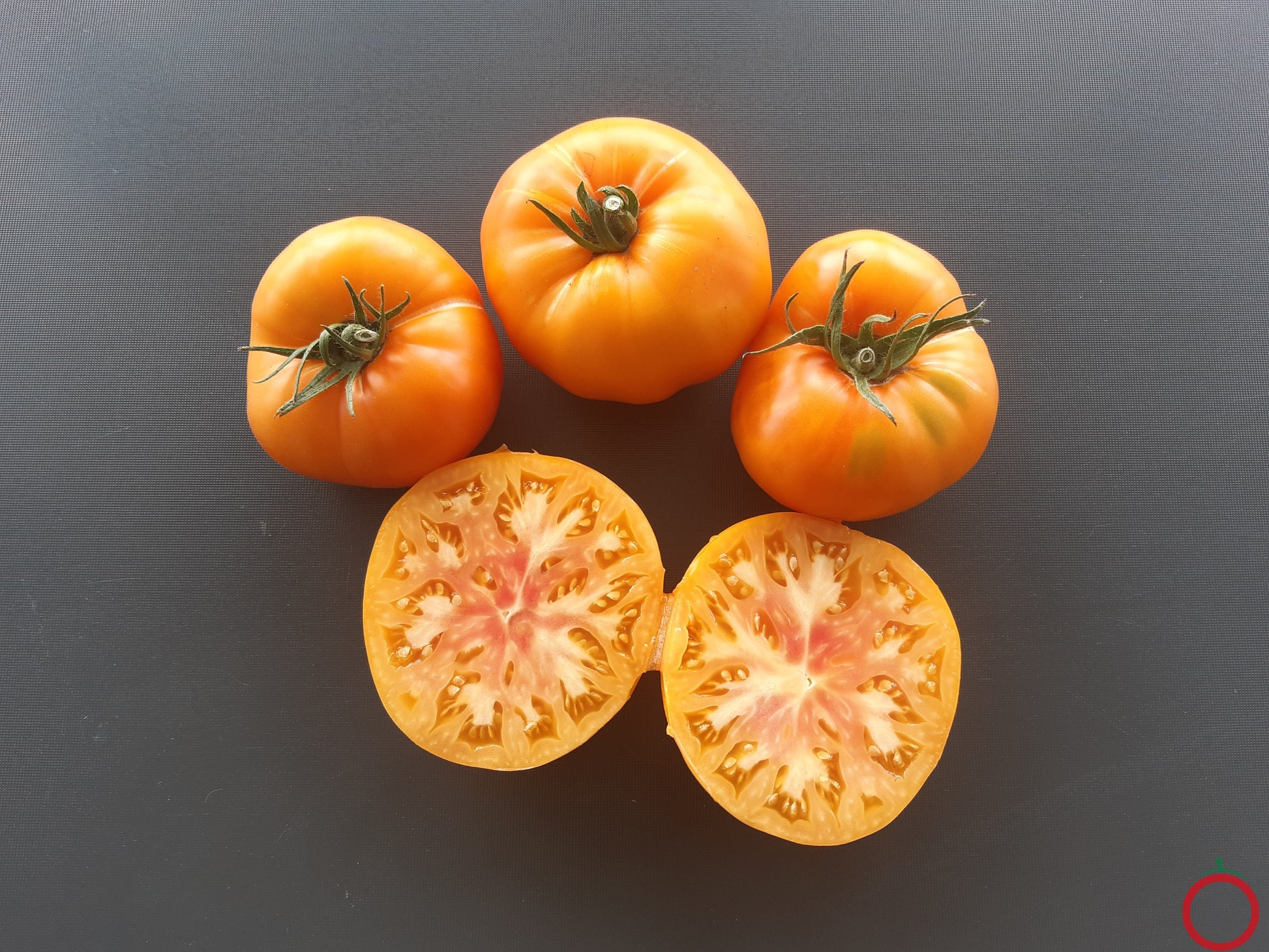 Anawine DER TOMATENFLÜSTERER