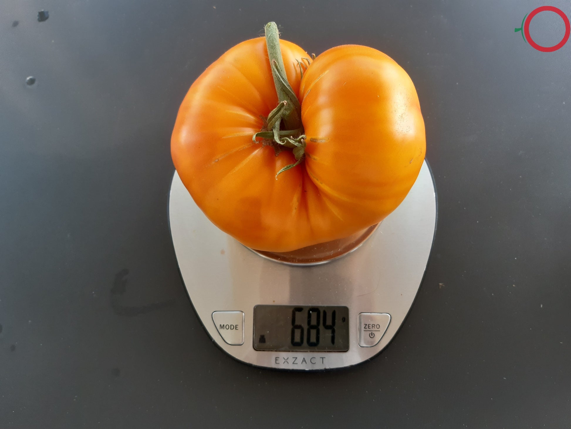 Anawine DER TOMATENFLÜSTERER