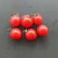 Anmore Dewdrop DER TOMATENFLÜSTERER