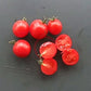 Anmore Dewdrop DER TOMATENFLÜSTERER