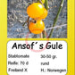 Ansof´s Gule DER TOMATENFLÜSTERER