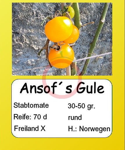 Ansof´s Gule DER TOMATENFLÜSTERER