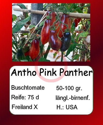 Antho Pink Panther DER TOMATENFLÜSTERER