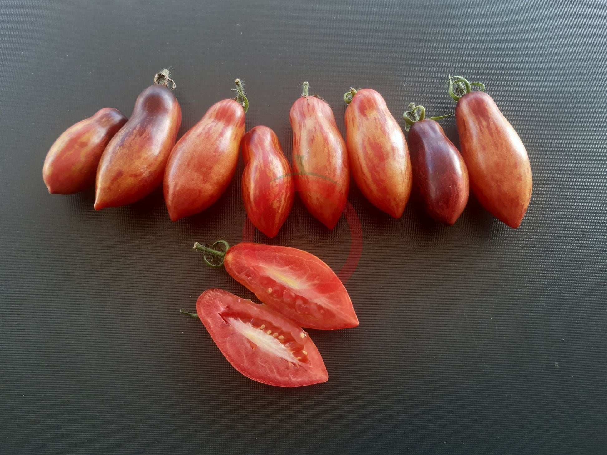 Antho Pink Panther DER TOMATENFLÜSTERER
