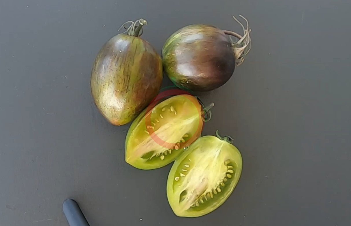 Atomic Fusion DER TOMATENFLÜSTERER