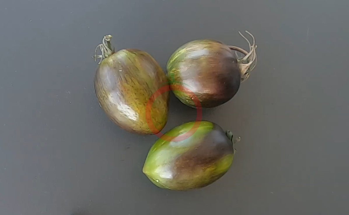 Atomic Fusion DER TOMATENFLÜSTERER
