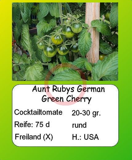 Aunt rubys german green cherry DER TOMATENFLÜSTERER