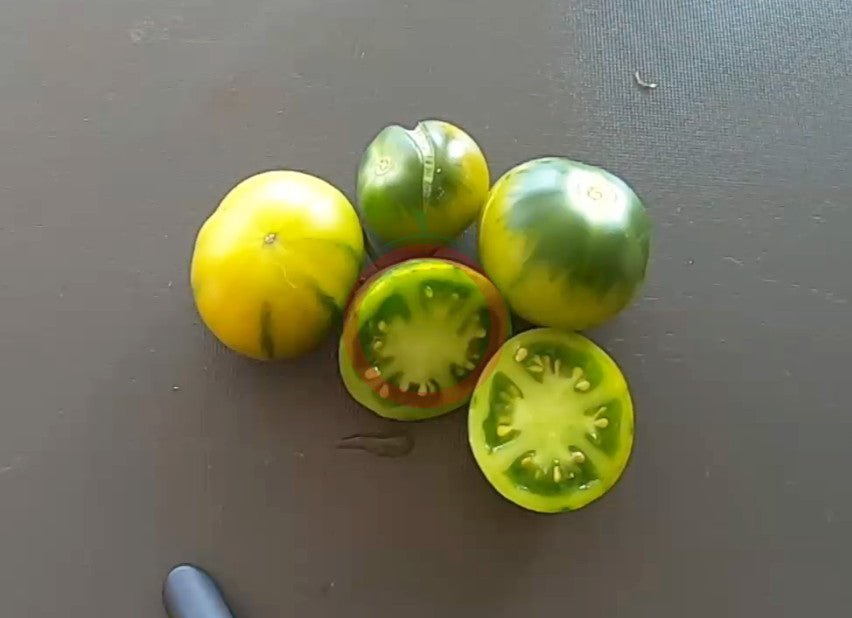 Aunt rubys german green cherry DER TOMATENFLÜSTERER
