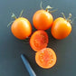 Auriga DER TOMATENFLÜSTERER