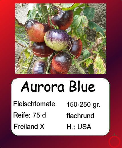 Aurora Blue DER TOMATENFLÜSTERER