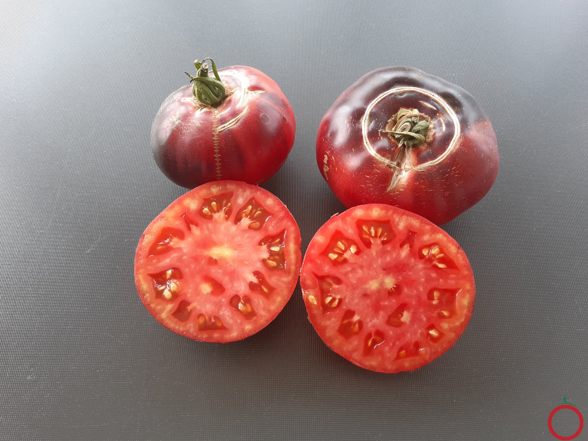 Aurora Blue DER TOMATENFLÜSTERER
